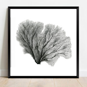 Gorgone (30 x 30 cm)