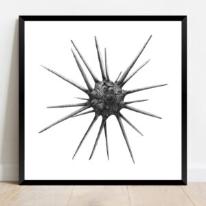 Porte-lance (30 x 30 cm)