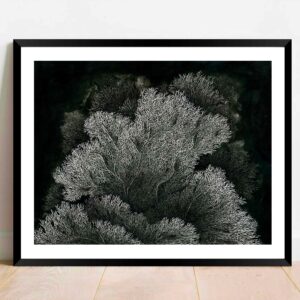 Méandres (50 x 40cm)